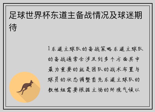 足球世界杯东道主备战情况及球迷期待