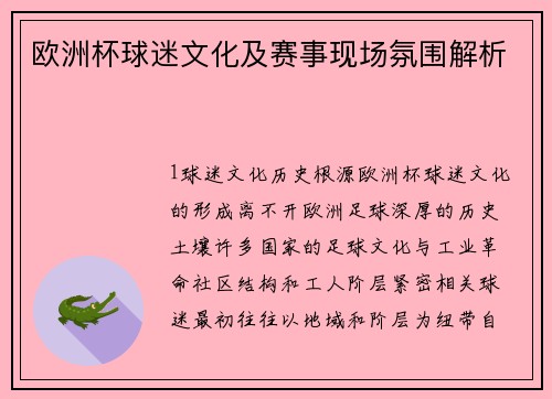 欧洲杯球迷文化及赛事现场氛围解析