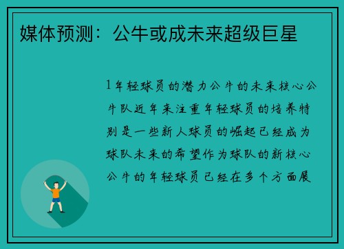 媒体预测：公牛或成未来超级巨星